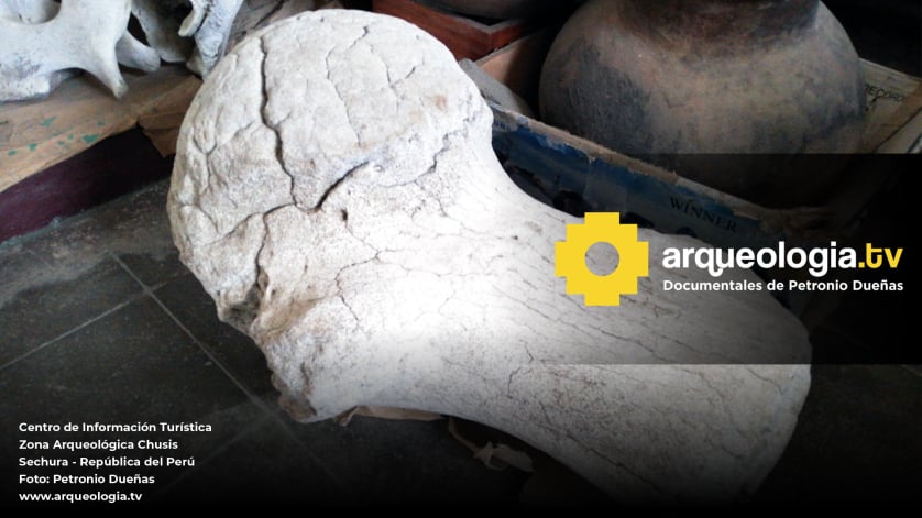 Museo Arqueológico Chusis - Perú - www.arqueologia.tv