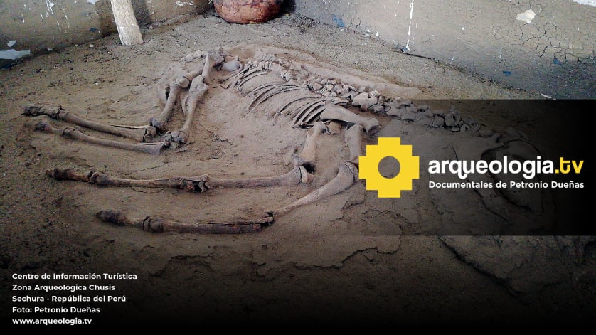 Museo Arqueológico Chusis - Perú - www.arqueologia.tv
